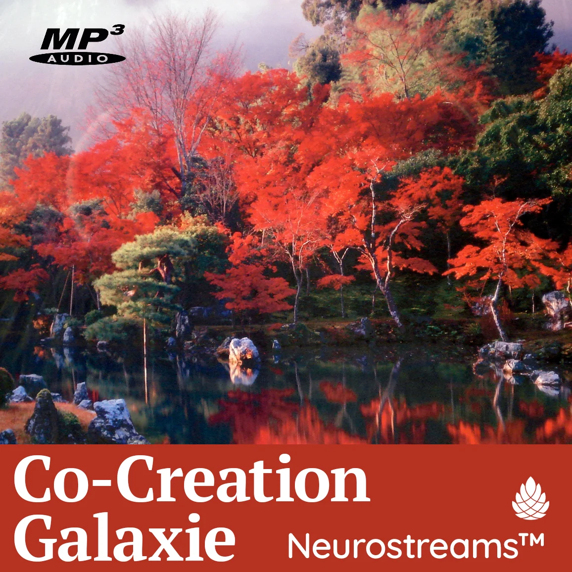 DEU Co-Creation Galaxie