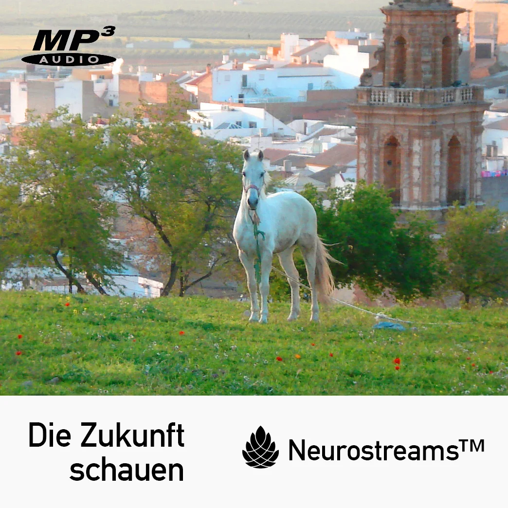 DEU Die Zukunft schauen