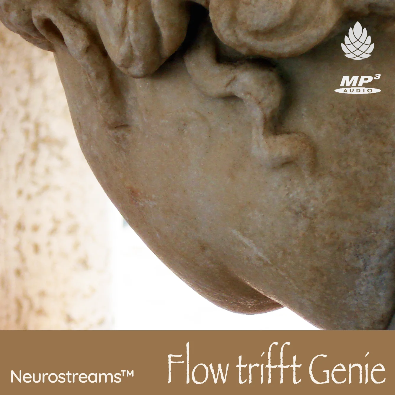 DEU Flow trifft Genie