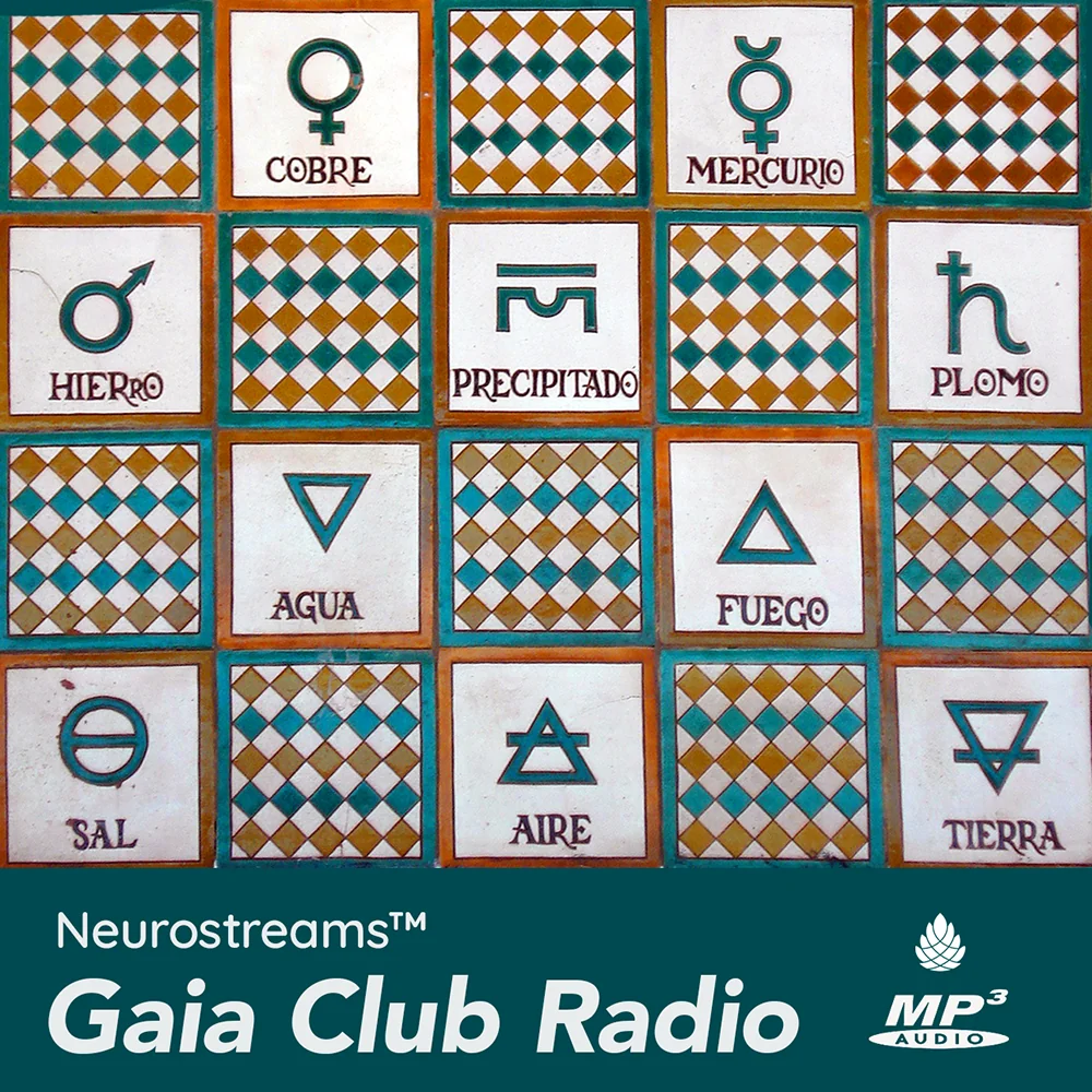 DEU Gaia Club Radio