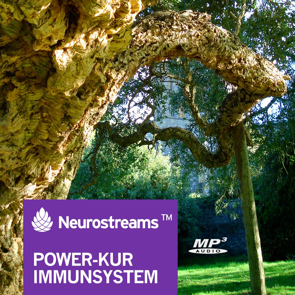 DEU Powerkur Immunsystem
