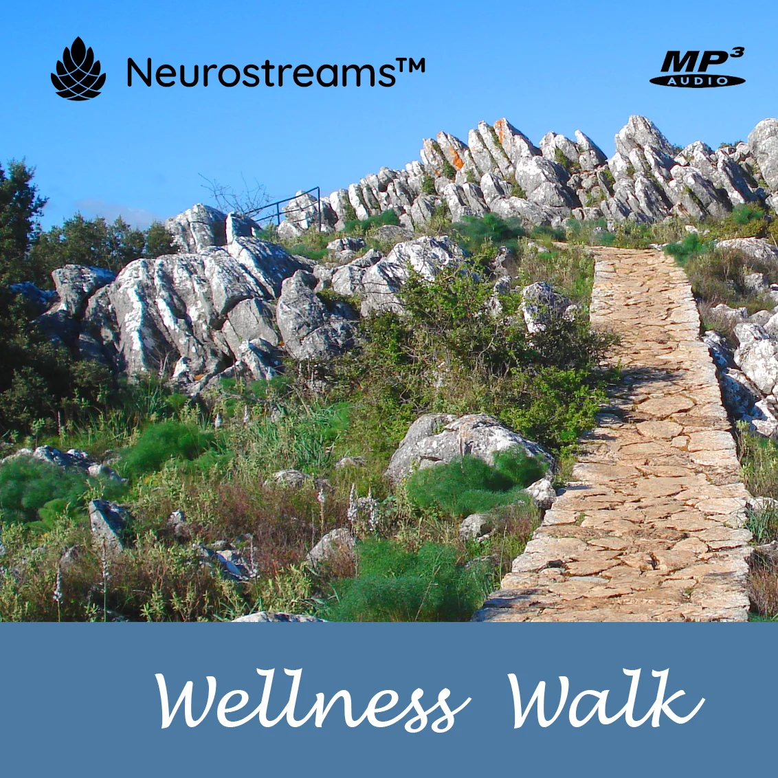 DEU Wellness Walk
