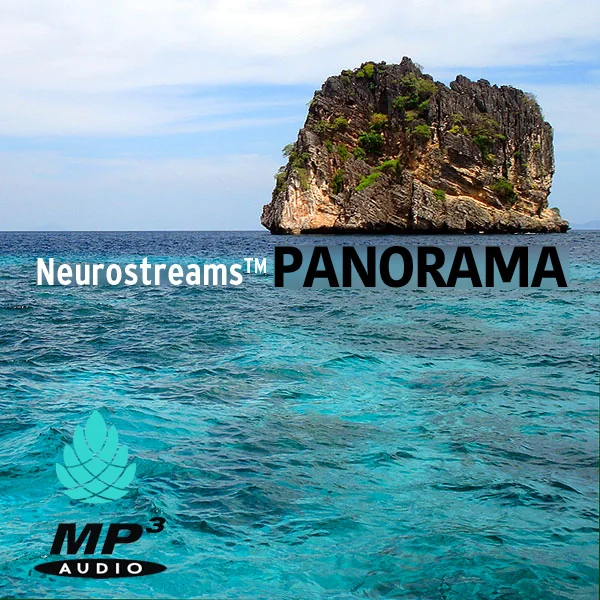 Panorama-Cover_2025_600px